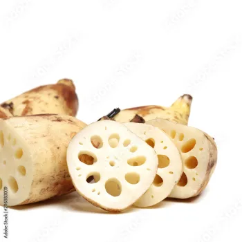 Natural Lotus Root 